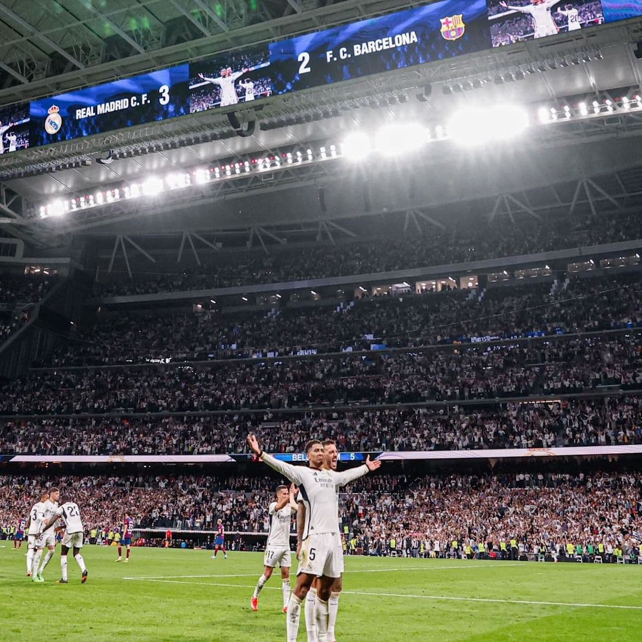 Bruno 
