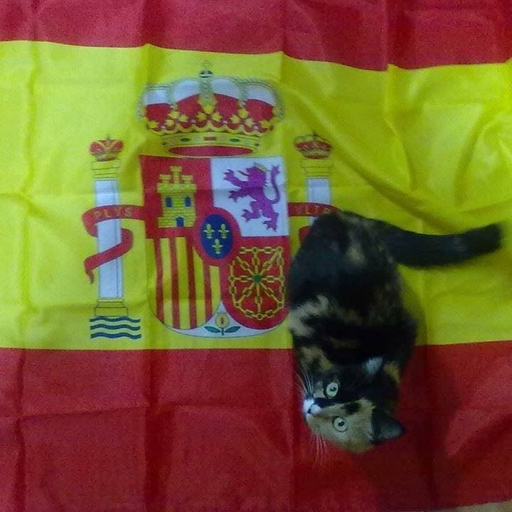 Tonet Reche Córcoles