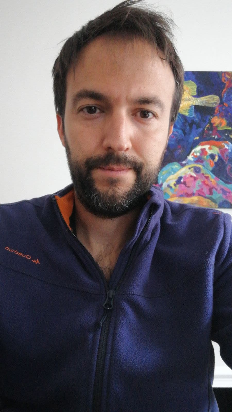 Jaume Vich Callejo
