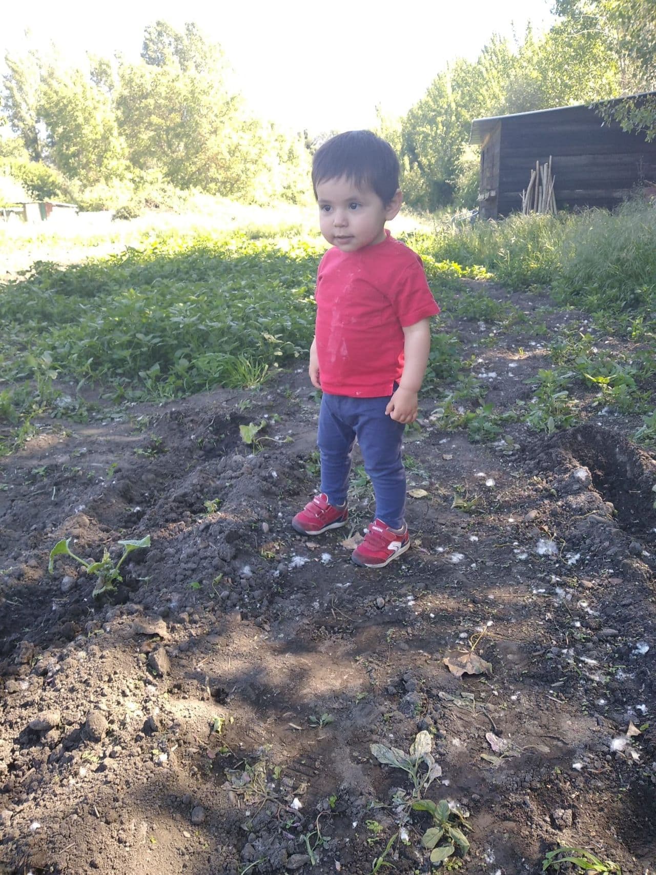 Diego Devesa AriaS