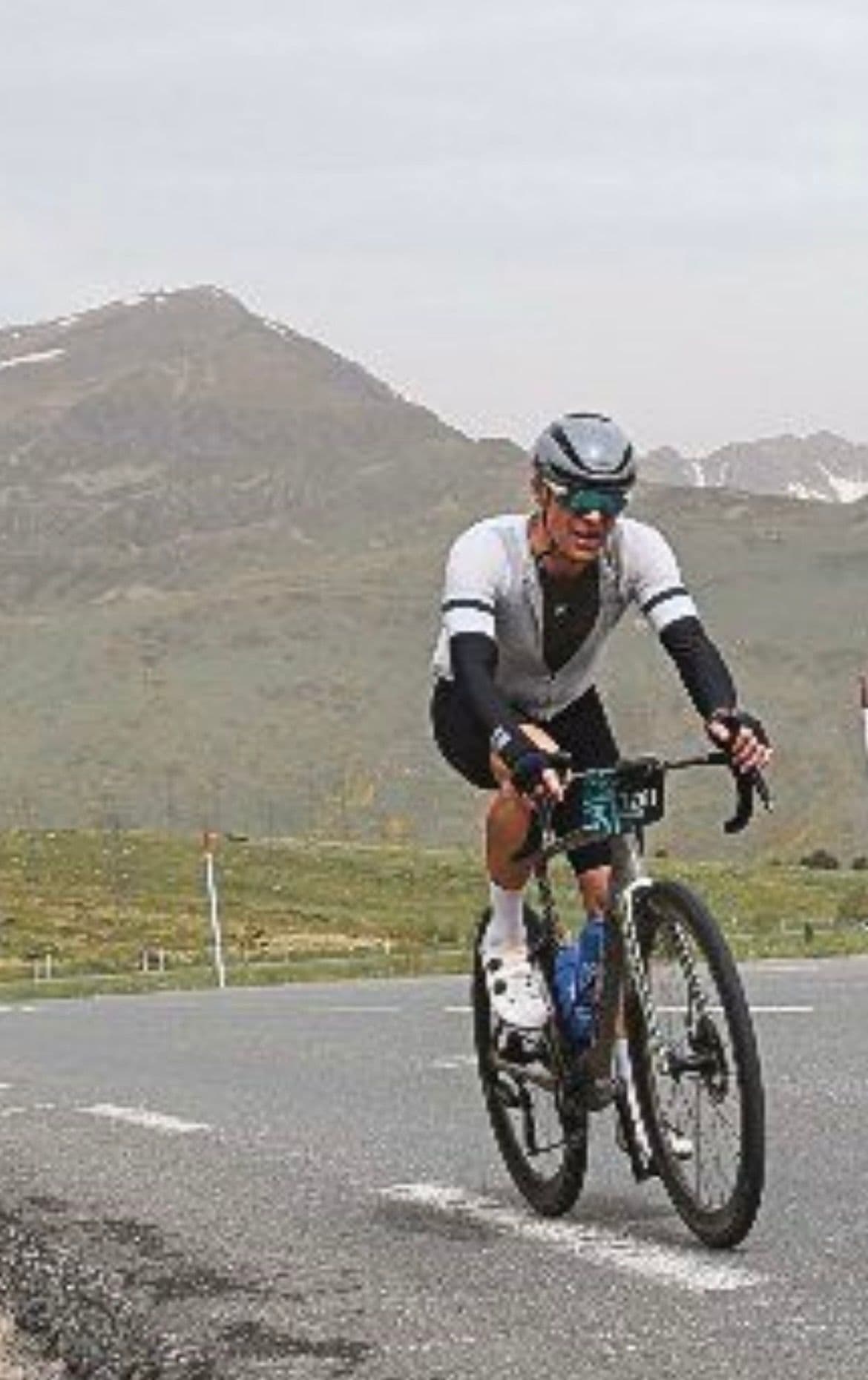 Enrique Bassas Vivo