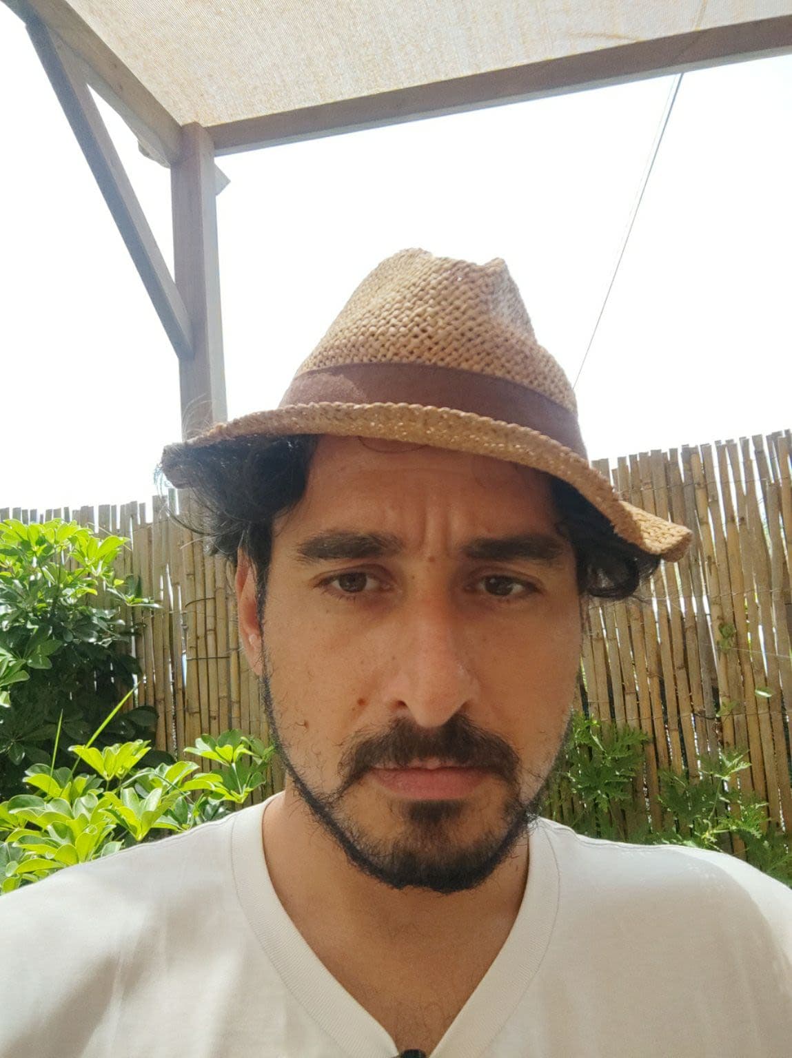 Alessandro Cicchetti