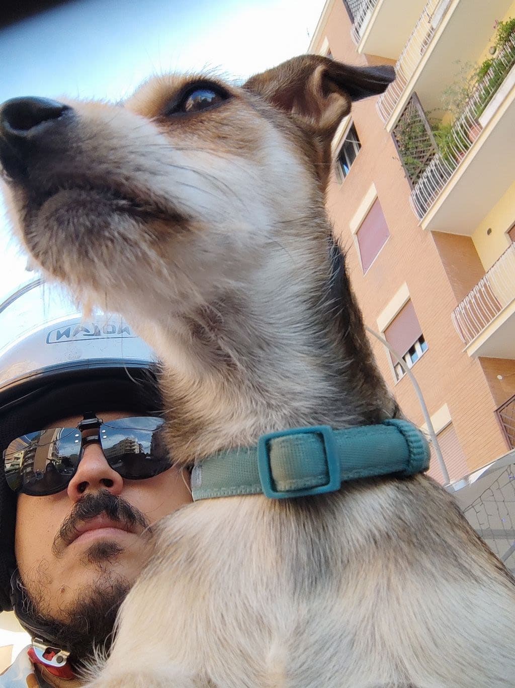 Riccardo 