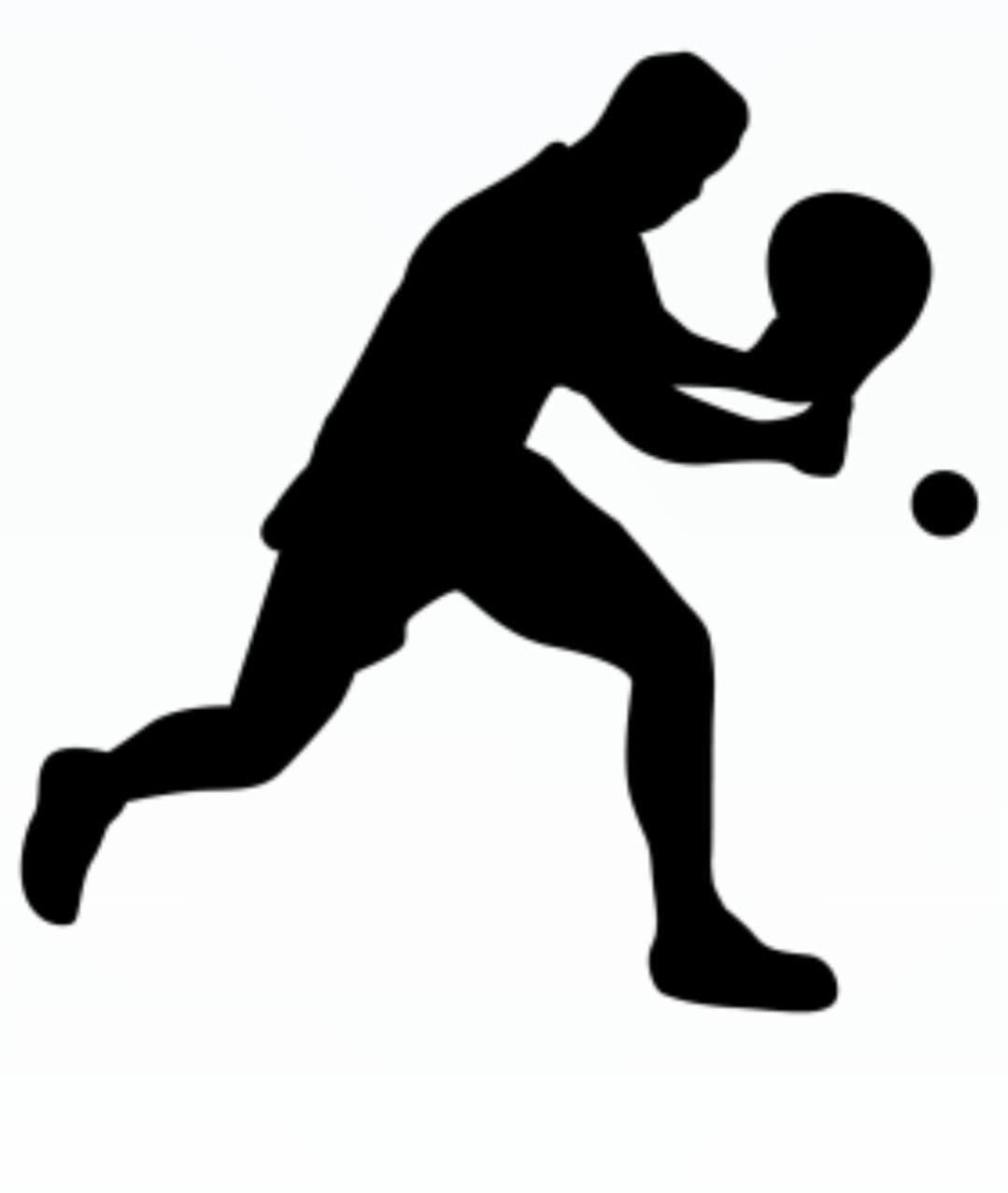 Borja V