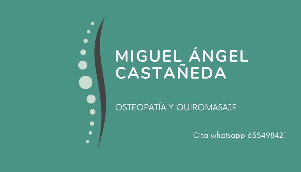 Miguel Angel Castañeda Pérez