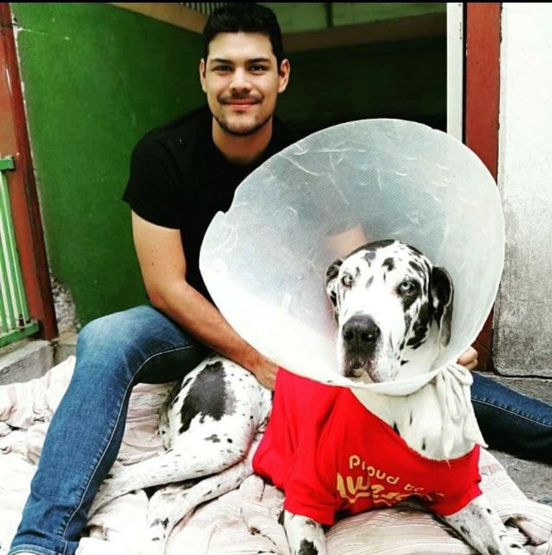 Alex Vega