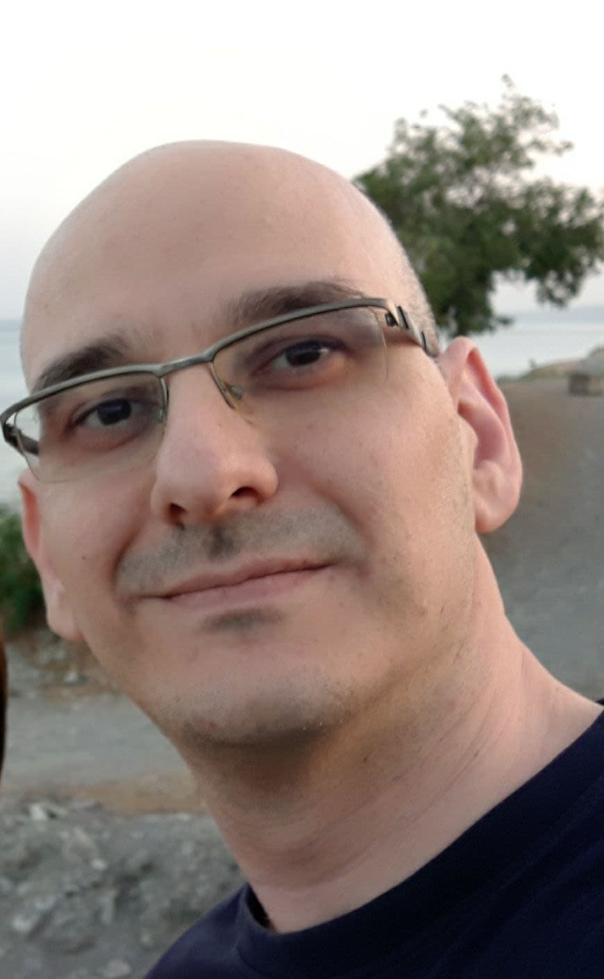 Domenico Bozzetto