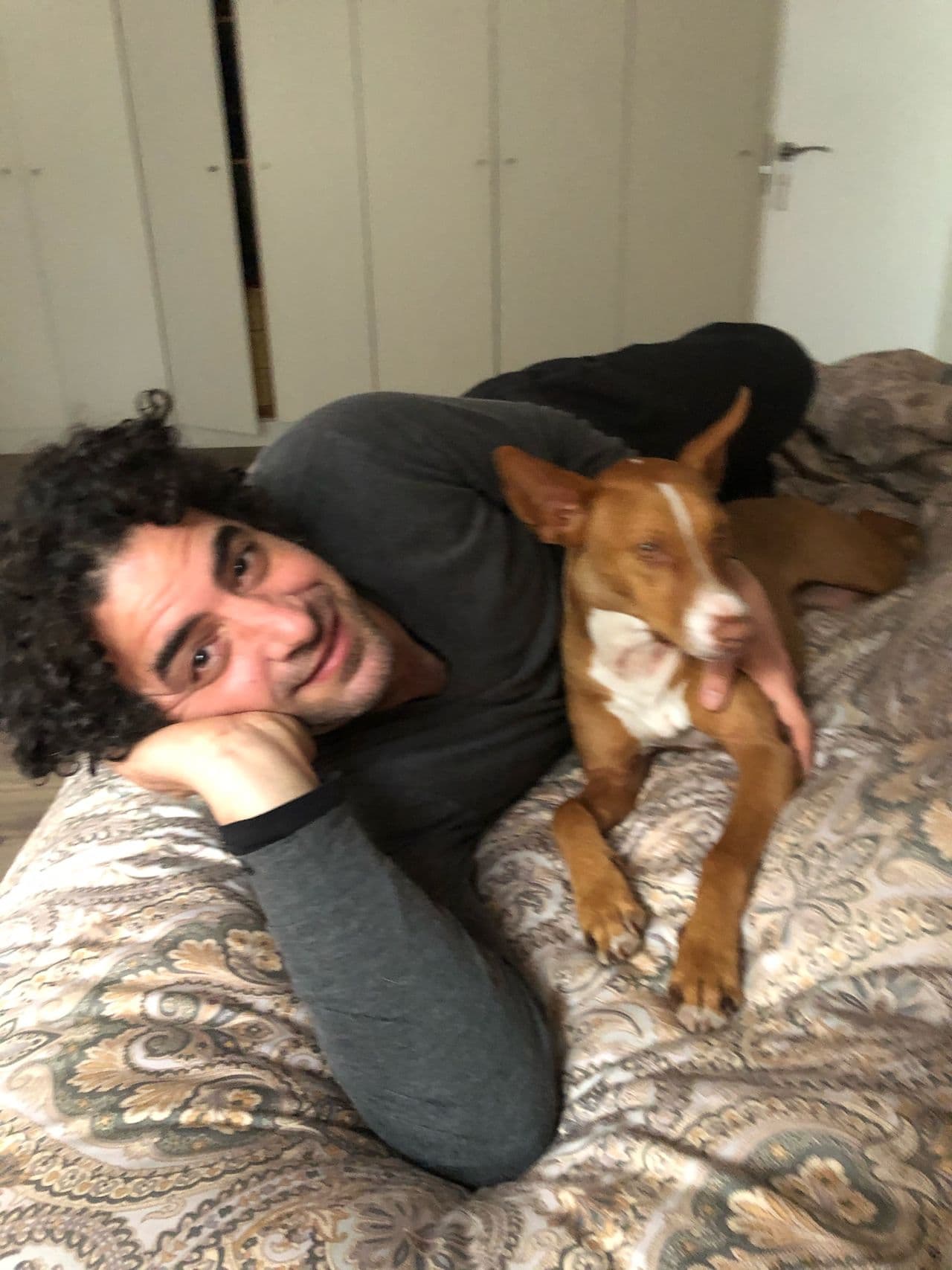 Amitai Katz