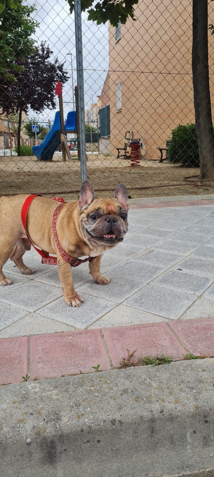 Pedro Pablo Gómez Castillo