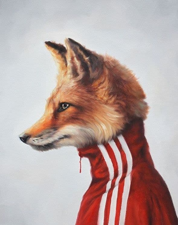 Seba Volpe