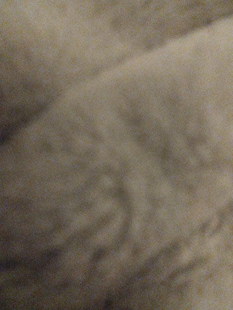 Eloi Torns Guitart