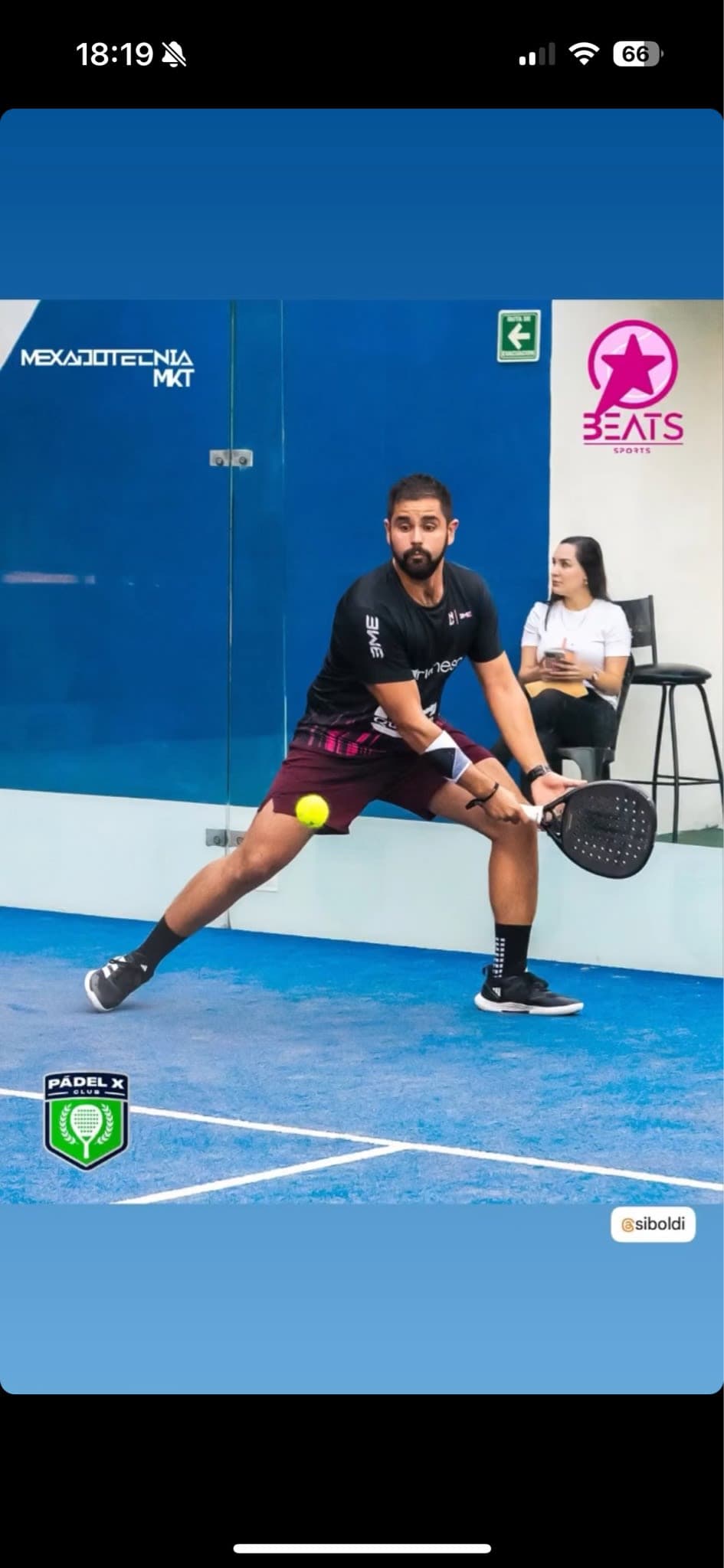 Siboldi Tamez