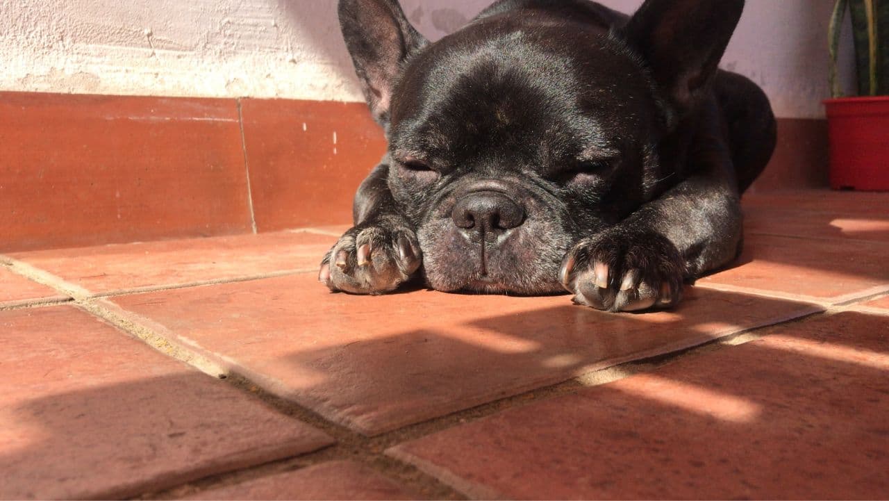 Ruben Romera Martinez