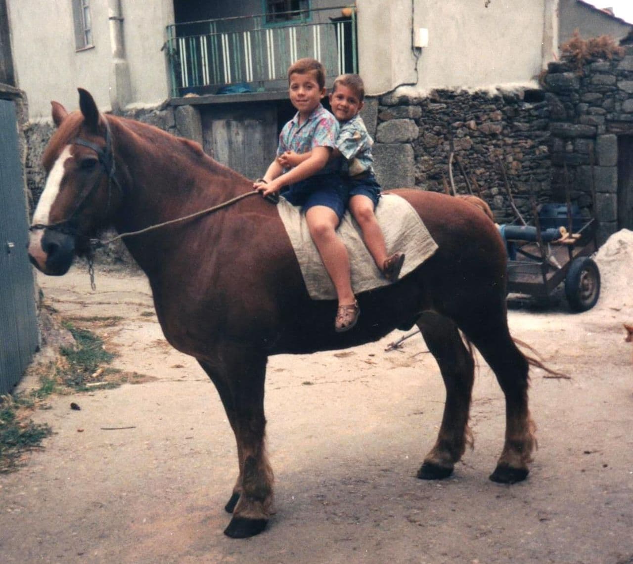 Marcos Fernández 