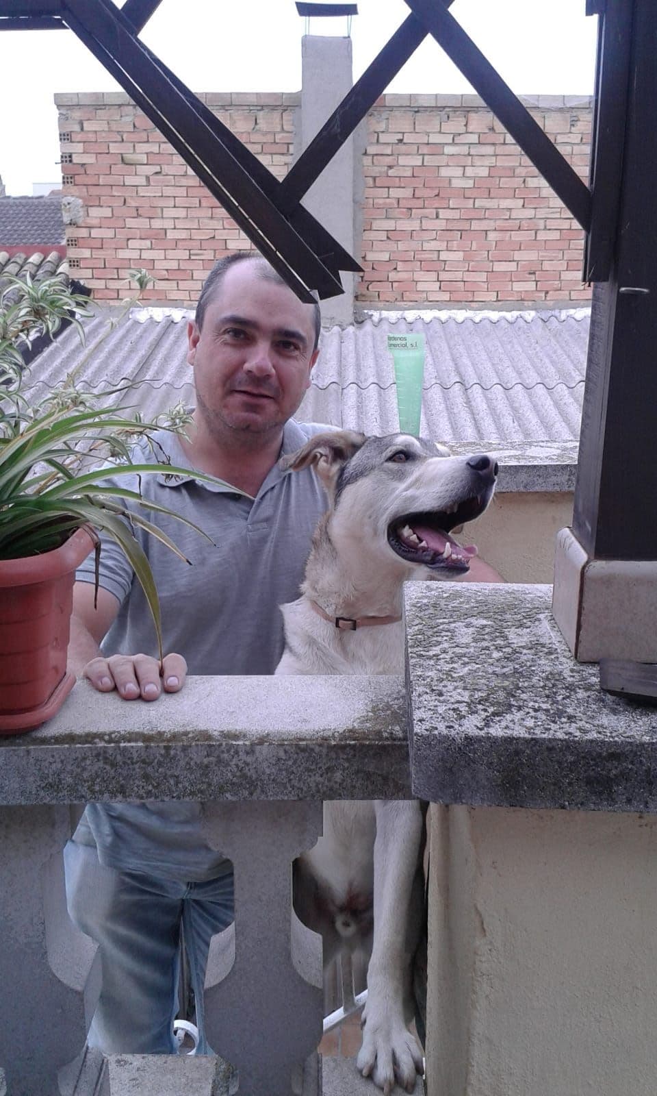 Francisco Moreno