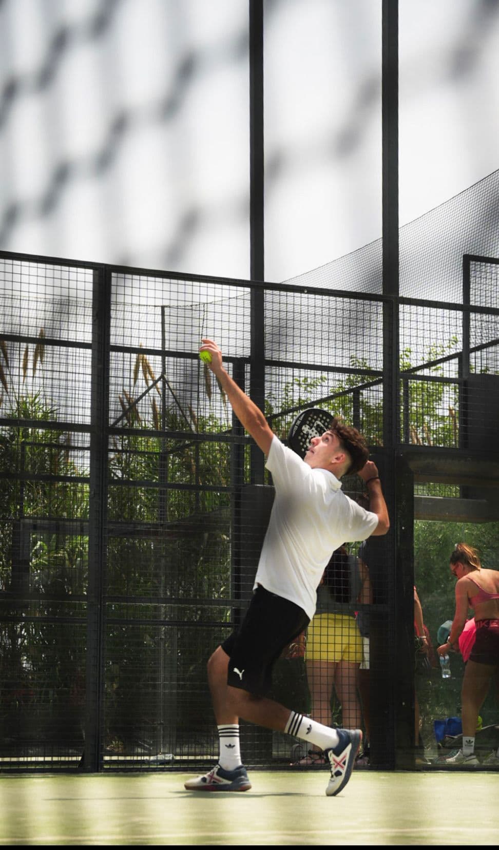 Guillermo Vergara