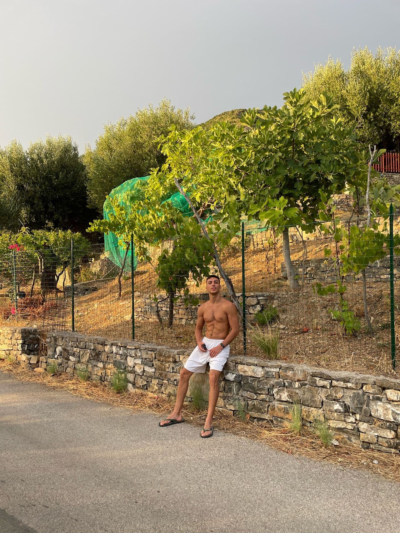Norberto Vergine