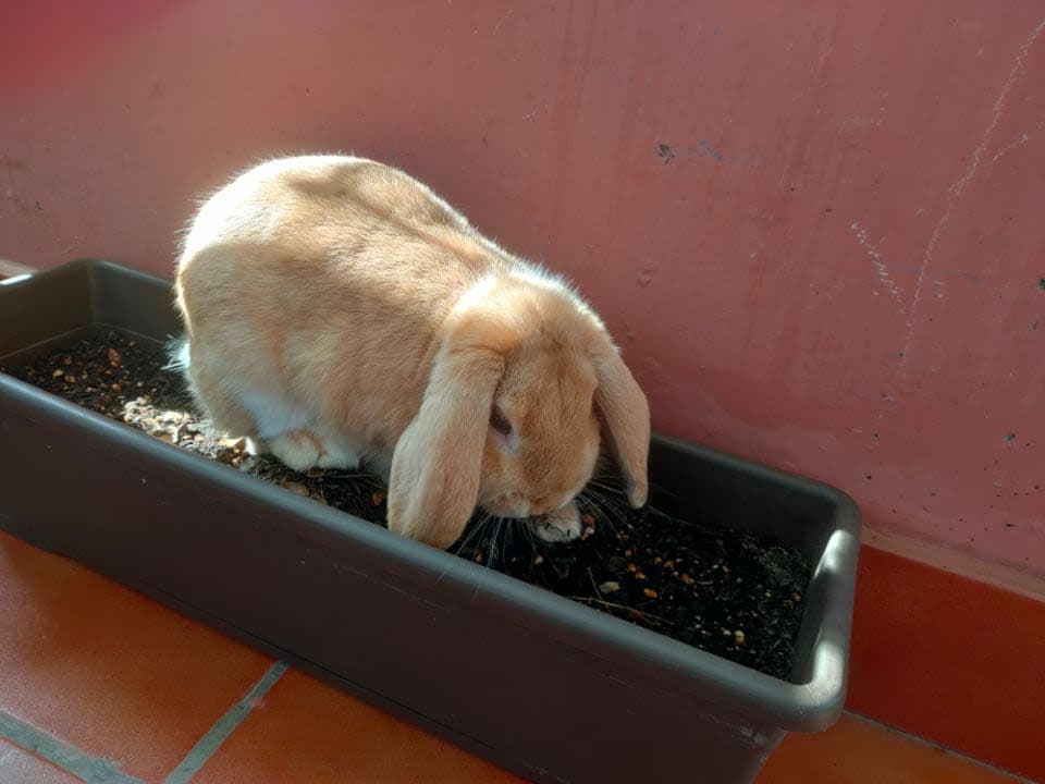 Miriam