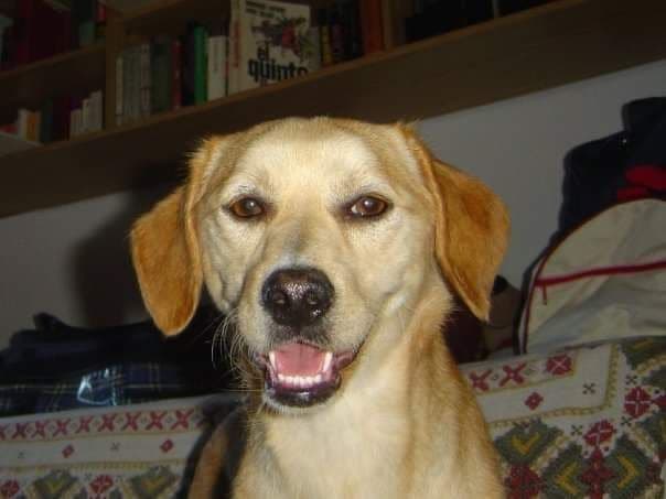 Ricard Tuduri