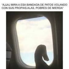 Feliu Planchat Barbarà