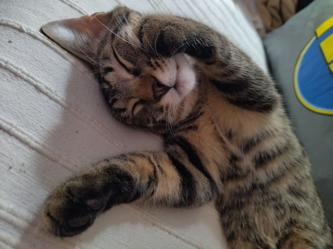 Xavi Pueyo