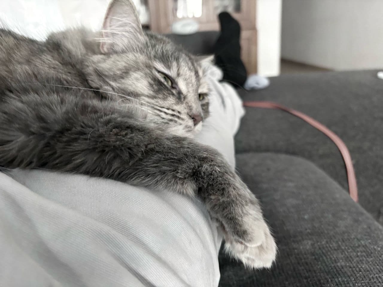 Sebastián
