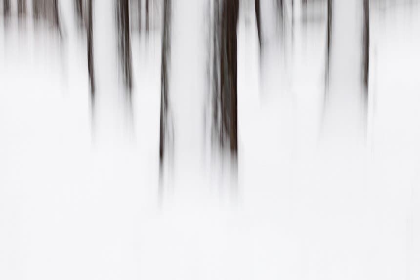 Gorka Vicente