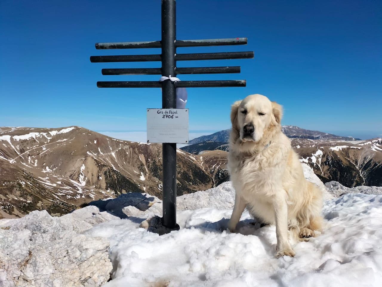 Jordi Torrejón