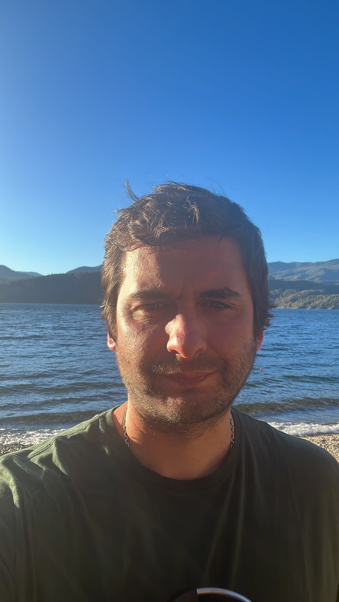 Nicolás Barnetche