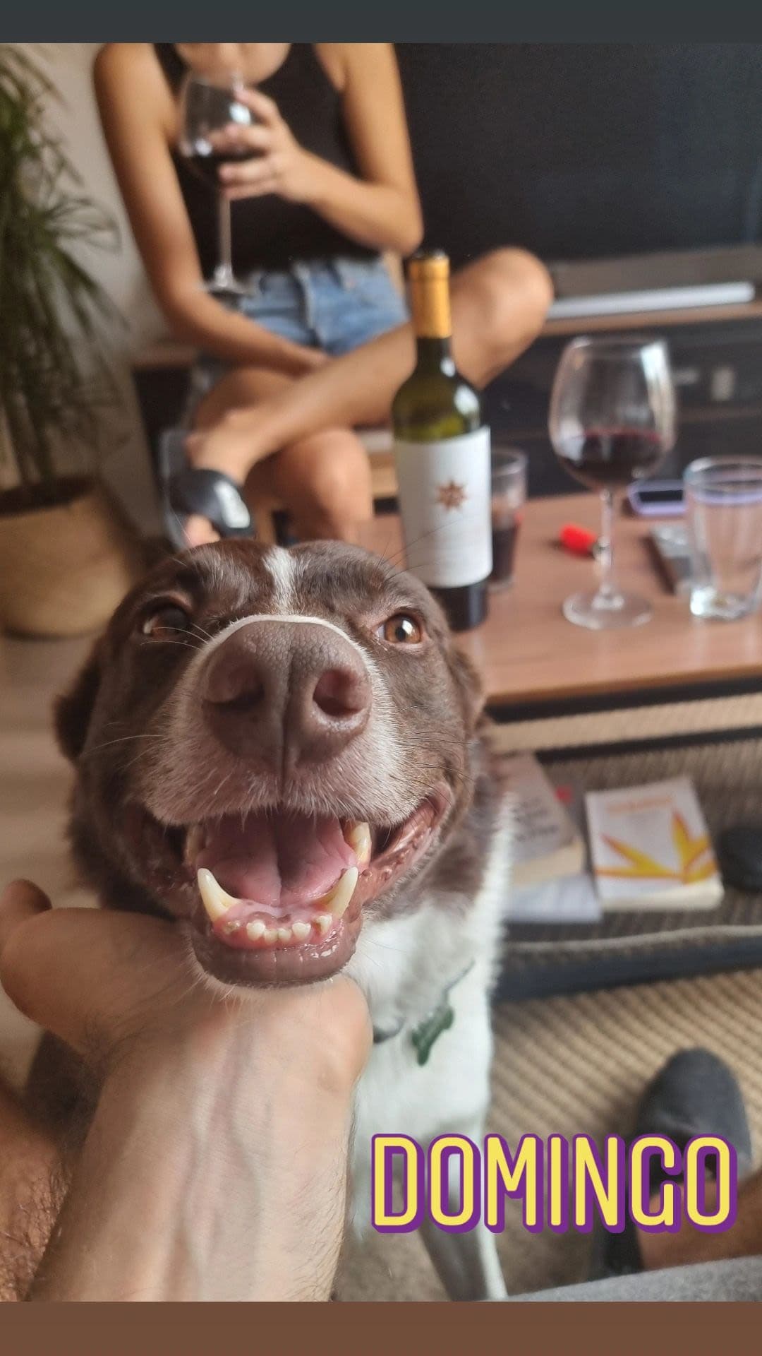 Diego