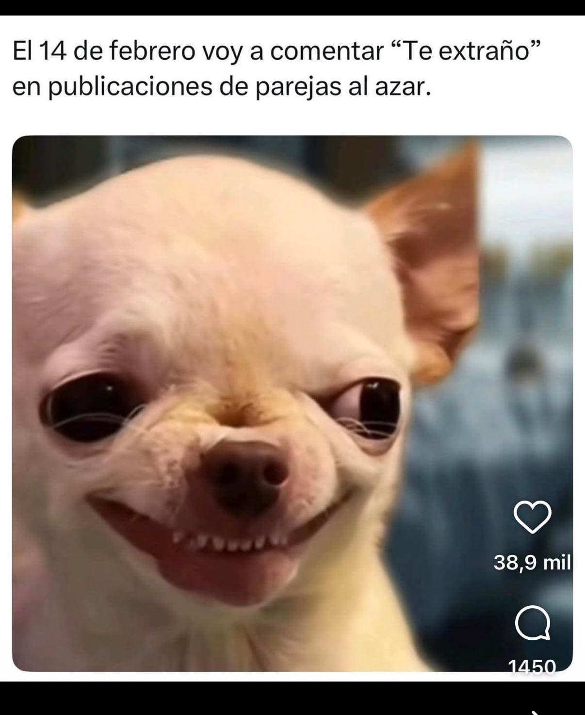 Marc Galiana Vacas