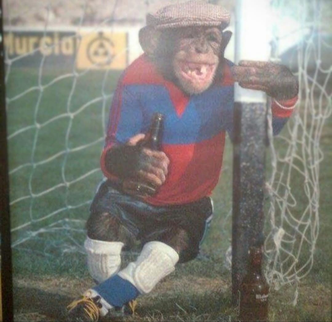 Alfons Más 