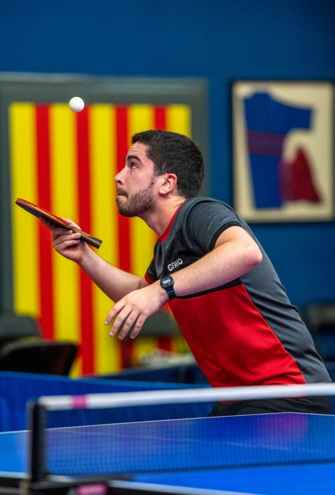 Manu Navarro