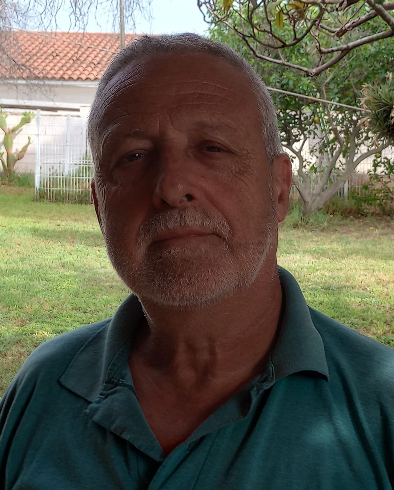 Alfonso Navarro Ferrando 