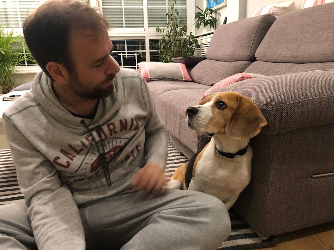 Dani S