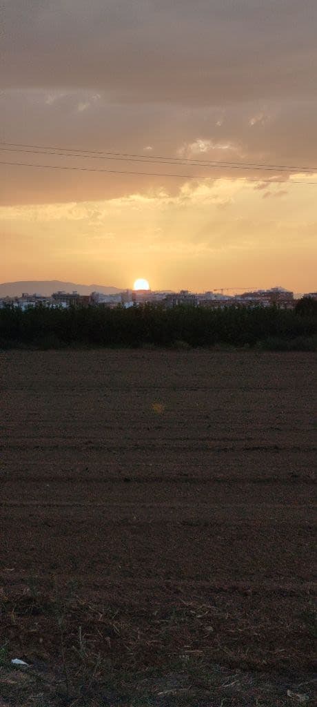 Sergi