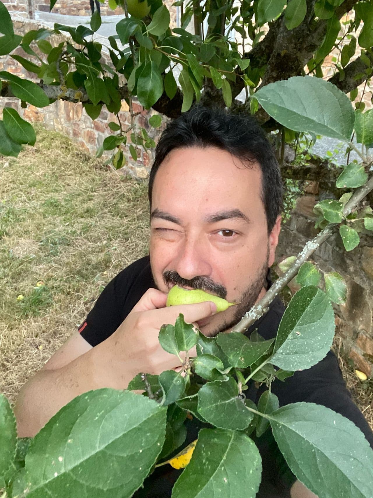 Jose Losada