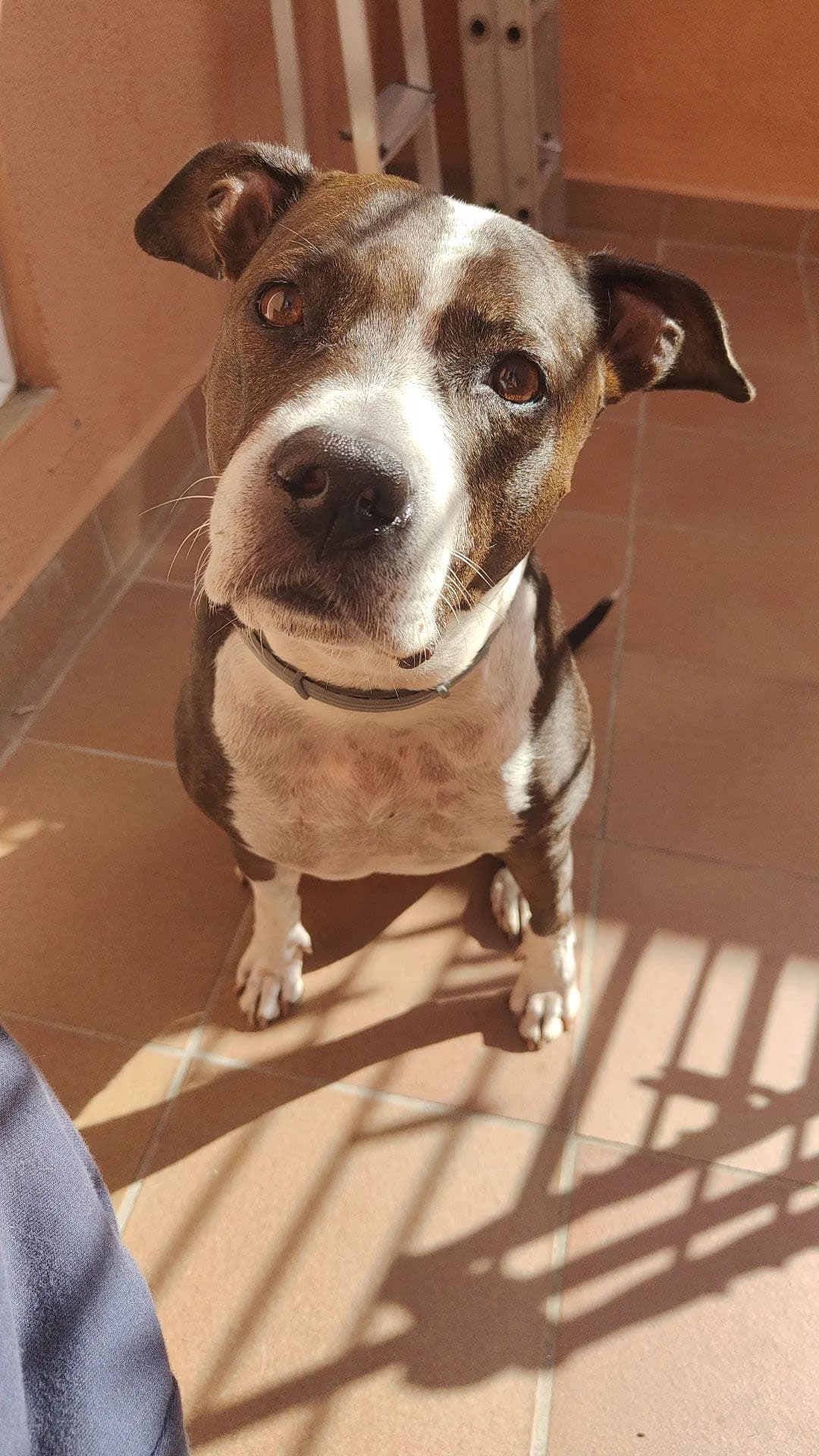 Dani Garcia Fernández