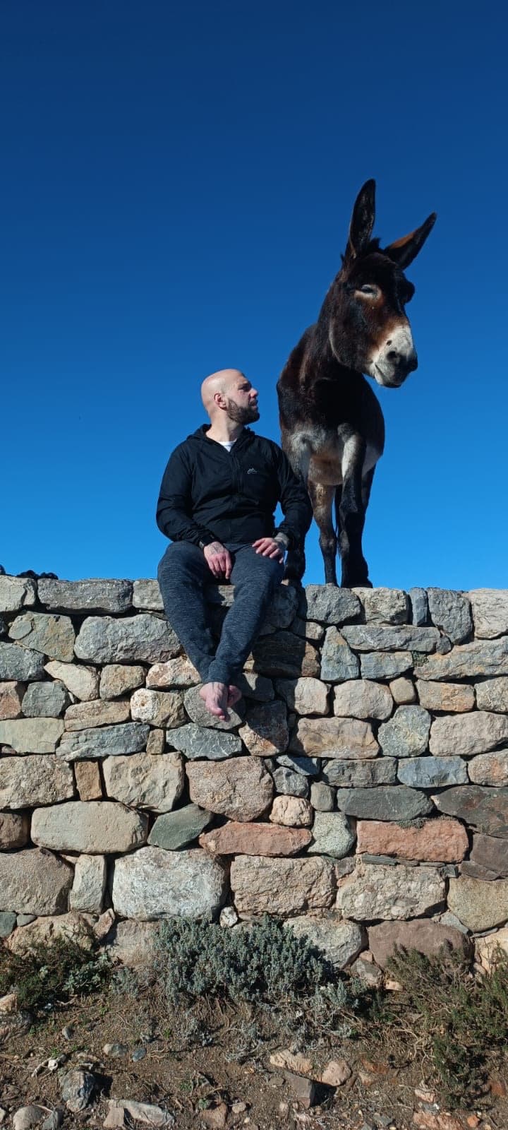 Markus Personal