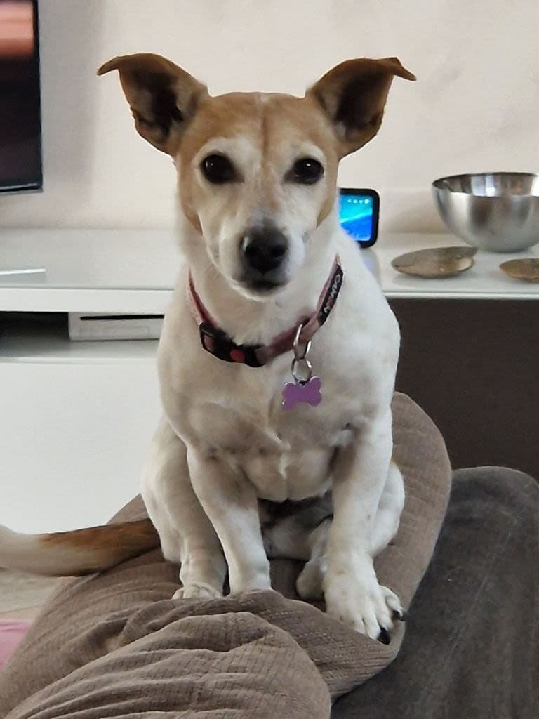 Luca