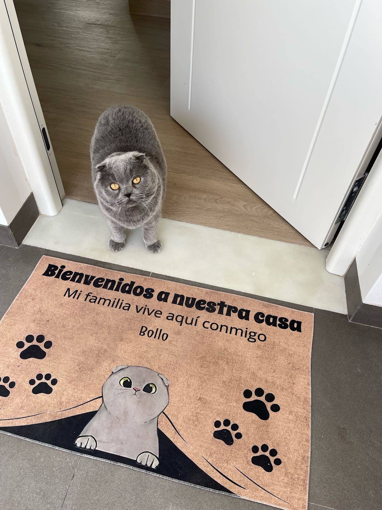Javi