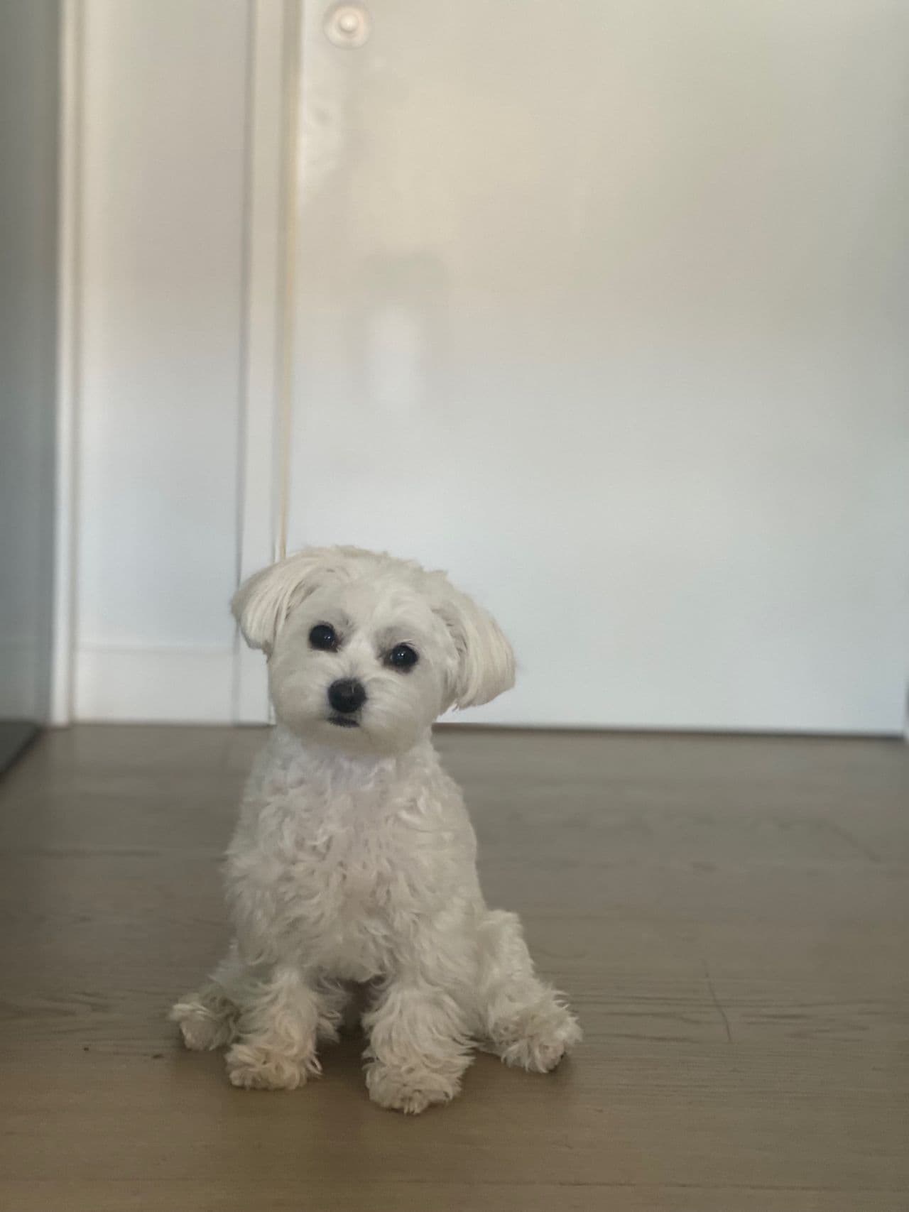 Julian