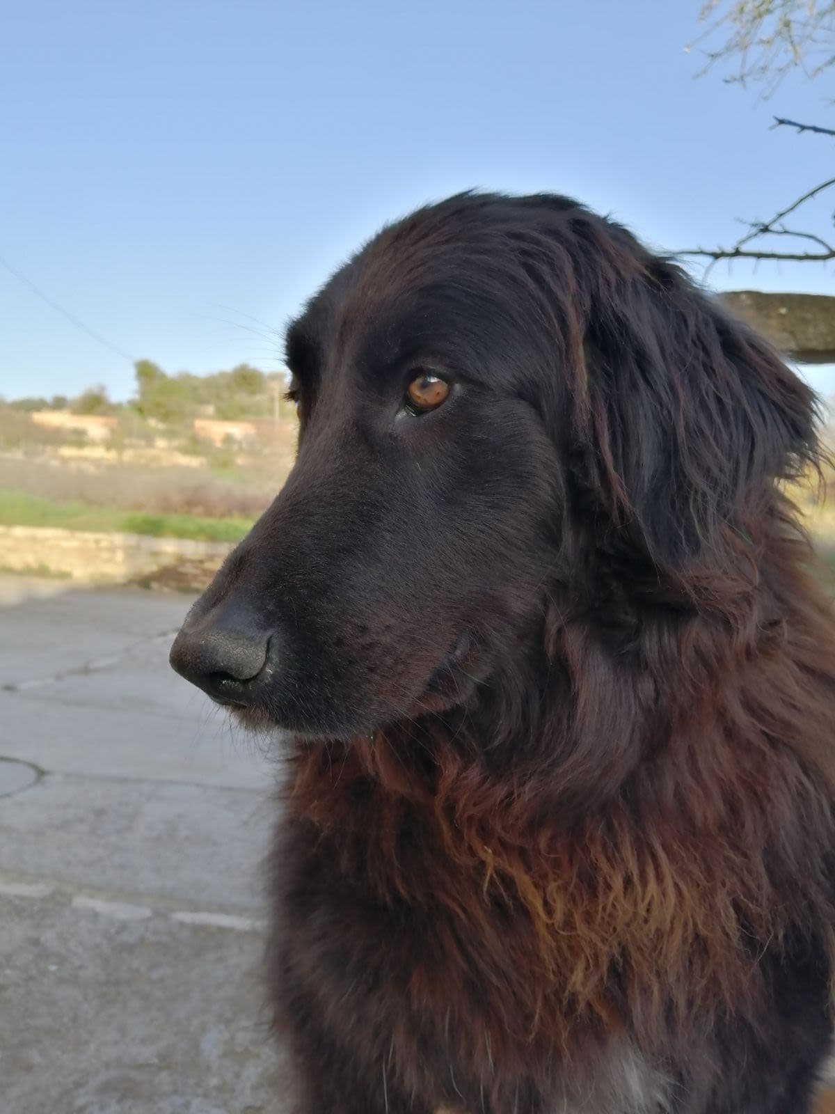 Aitor Zamora