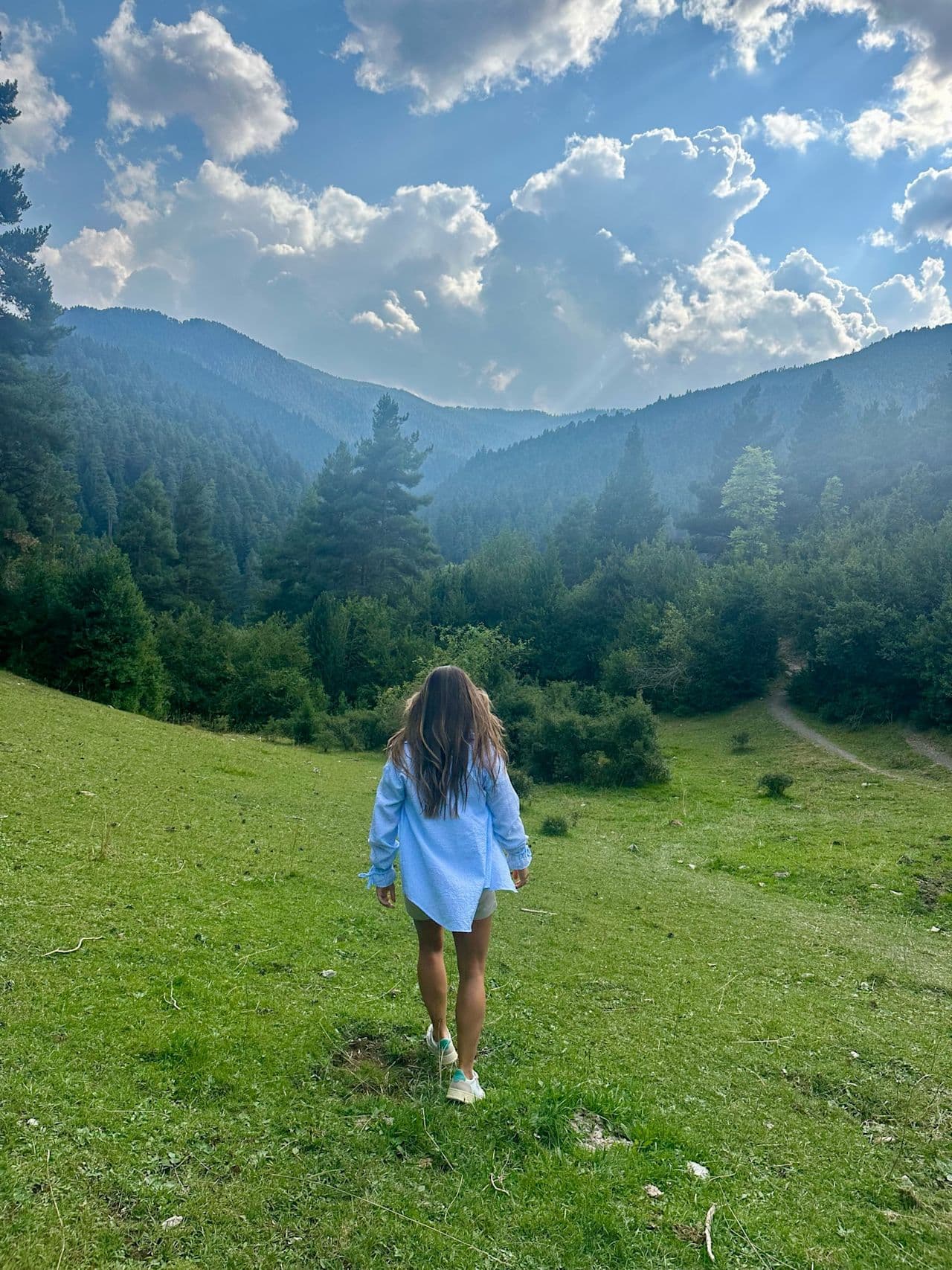 Laia 