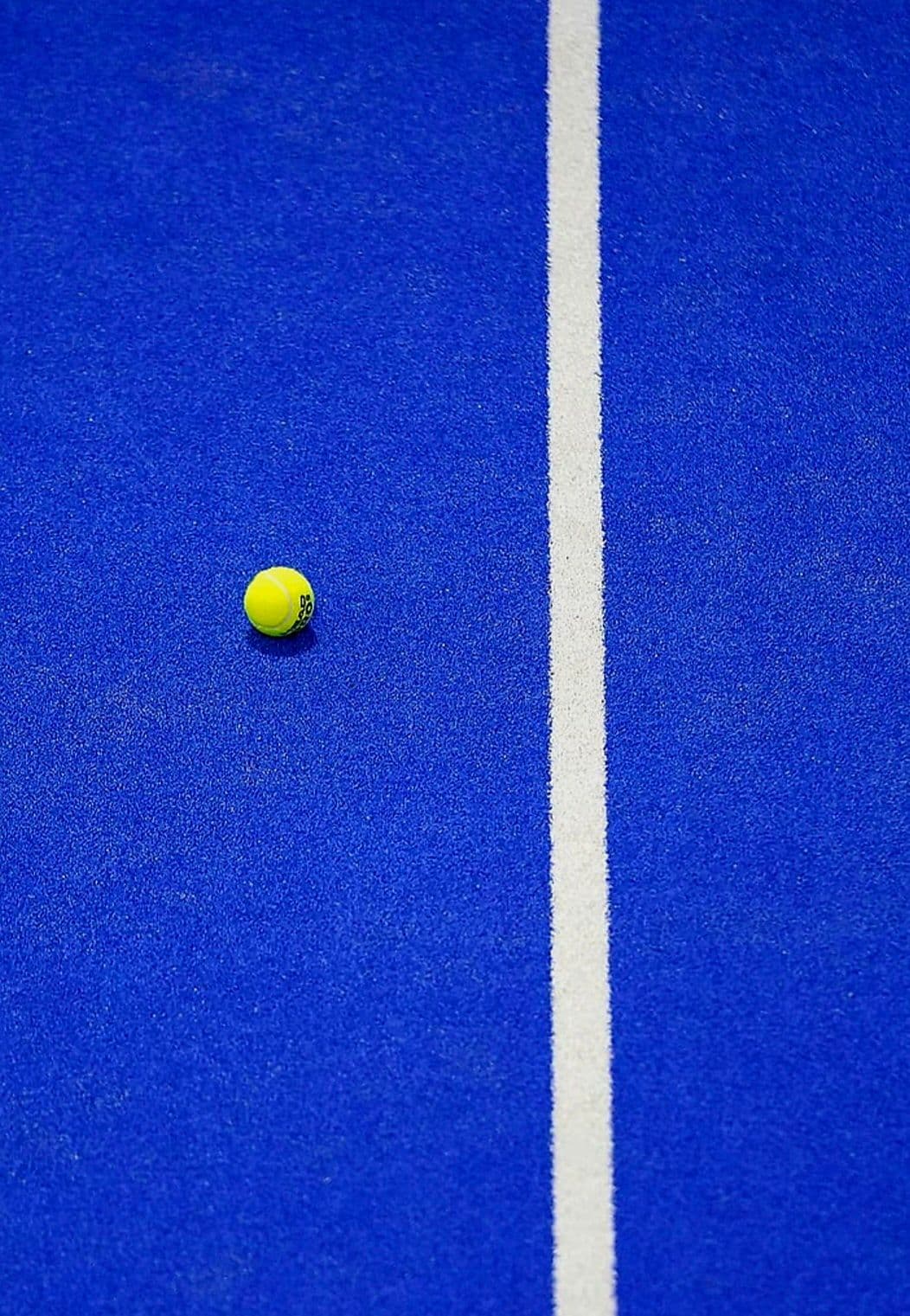 Javier Puelles