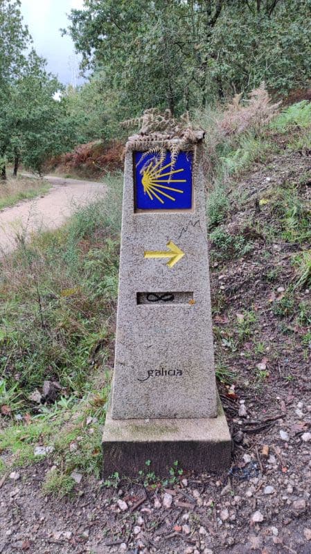 Enrique CC